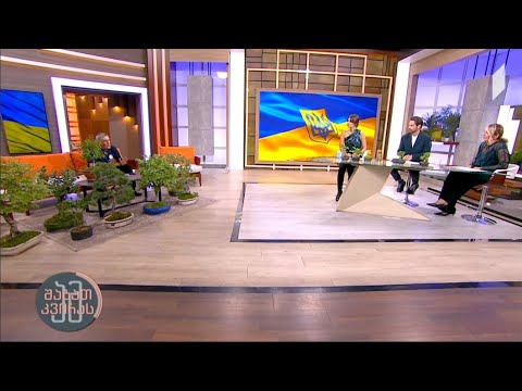 ბონსაი - ჯუჯა ხეების შექმნის ხელოვნება