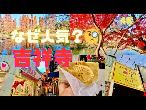 【4K】古代から人気の吉祥寺／井の頭公園（歴史・自然・グルメ）