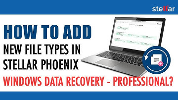 How to add new file types in Stellar Phoenix Windows Data Recovery-Professional?