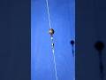 DIY Fishing Tackle - Best Bottom Fishing Rig #shorts #fishing #fishingknot #tutorial