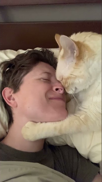 Sweet Cat Begs for Nose Kisses || ViralHog