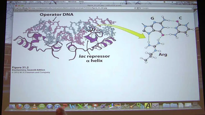 #49 Biochemistry Translation III/Gene Expression I...