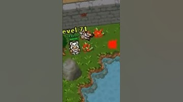 Mirage Realms | Edits