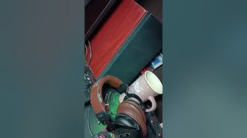 quad cortex noise problem