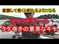 野尻湖スモールマウスバス　シャッドテールのタダ巻きのキモ