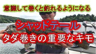 野尻湖スモールマウスバス　シャッドテールのタダ巻きのキモ