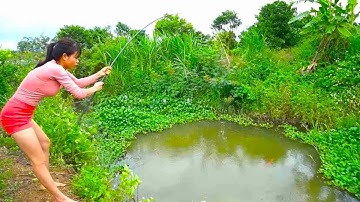 Đĩa câu cá của người đẹp rất lớn, nhưng cô ấy bị con cá lớn bí ẩn đè xuống và không thể nổi lên!