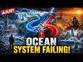 AMOC Collapse কী? পৃথিবীর Climate Engine ভেঙে পড়ছে? AMOC Collapse Explained WBCS Current Affairs