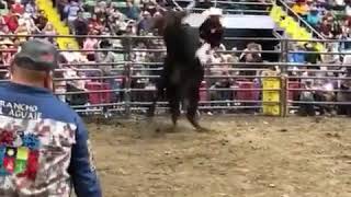 Dolar a Grapa vs Juanjo Pelayo Rancho el Aguaje en Chicago Illinois 2018