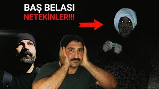 Bi̇r Bahçeyi̇ Ele Geçi̇ren Neteki̇n Ci̇nleri̇ Di̇kkat Her Kiliğa Gi̇rebi̇li̇rler Paranormal Olaylar