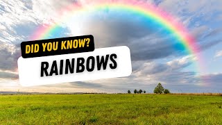 42° of Magic: The Secret Geometry of Rainbows