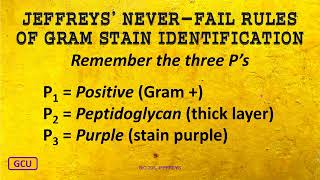 Jonathan Jeffreys GCU Microbiology 205L Midterm Exam Review