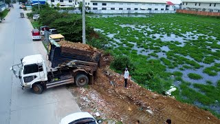 New Project!! Dozer D31PX & Truck 5T Pour soil Floodplain To set up a rental stall