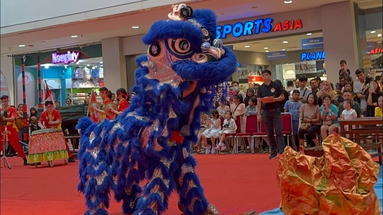 2023-Nov-19 // Lomba Barongsai Antar Sekolah 2023 // Nanyang school Team A 