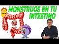 MONSTRUOS INTESTINALES. ¡¡¡Esto te está MATANDO y no lo sabías!!!