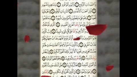 سورة البروج بصوت محمد البراك