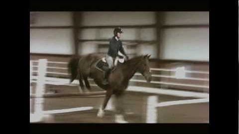 How to Train a Show Jumper Champion - Grid Work for Better Jump