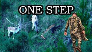 THE LAST 20 YARDS | Stop Chasing Animals