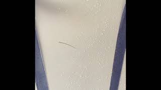 Marine ceramic coatings test