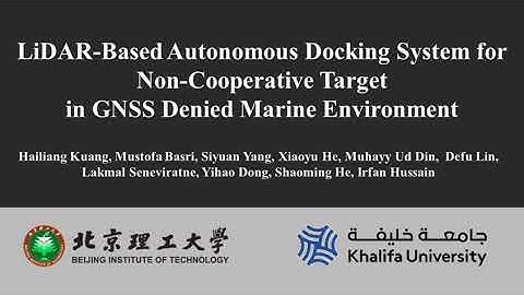 LiDAR Based Autonomous Docking System for Non Cooperative Target