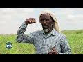 Suuq La Aan Haysata Beeraleyda Magaalada Beledweyne Suuq La Aan Haysata Beeraleyda Magaalada Beledweyne