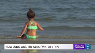 How long will the clear water in Galveston stay?