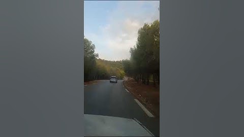 {قال ربنا اننا نخاف ان يفرط أو أن يطغى (٤٥)} سورة طه للقارئ مصطفى شريف