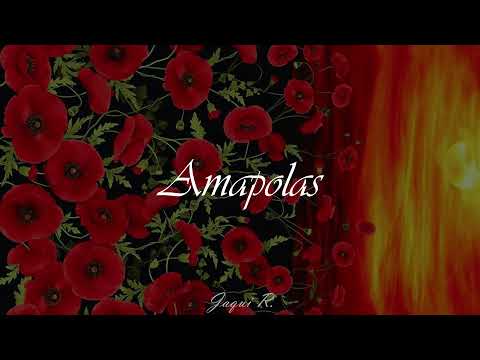 Amapolas— Leo Rizzi
