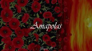Amapolas— Leo Rizzi (Letra)