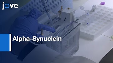 Alpha-Synuclein Extraction from Parkinsonian Brains | Protocol Preview