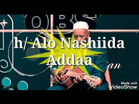 Nashiida Bareeda H Alo Khabir Umar