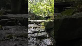 공주 계룡산갑사 계곡물소리 ASMR (충남 공주시 계룡면 중장리 계룡산 갑사 계곡물 흐르는 풍경)