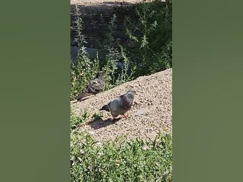 Пусть думают,что мы спортсмены ..🤣 - YouTube