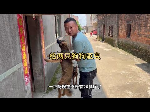 一隻狗都沒有的全台最大動物醫院？！【台大獸醫】｜科系聊什麼｜茜珊