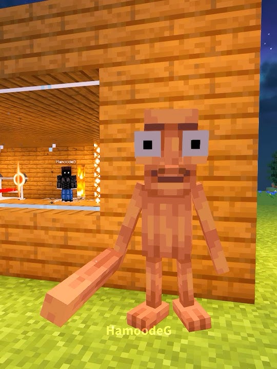 Never Break My WIFI Again 💀