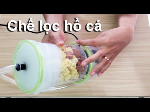 Video Chế lọc ngoài kèm hút váng cho hồ cá nhỏ | TúT Channel - youtube