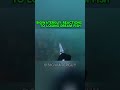 BigWaterGuy loses dream fish #fishing #viral