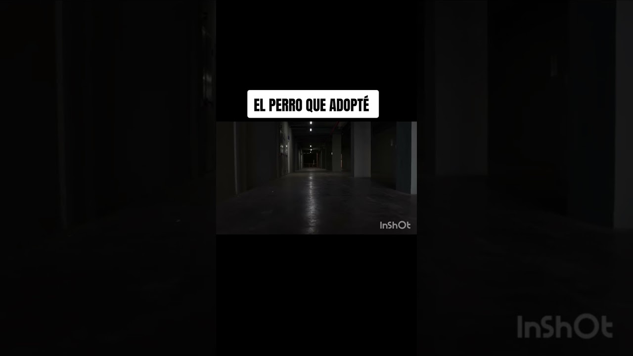 El perro que me eligió #históriasdeterror 