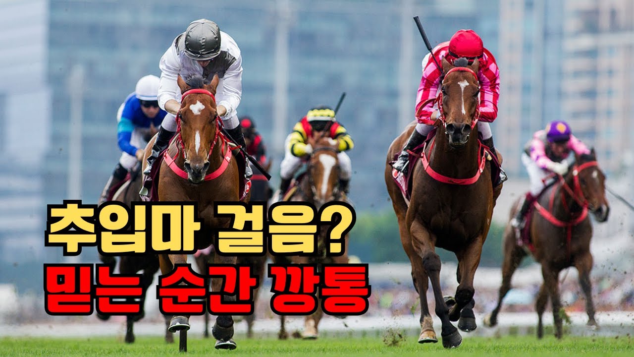🧠경마 시즌2 제9강I 추입마? '걸음' 믿다가 지갑만 털린다