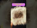 Must-have faux fur fashion handbag! #handbag #fauxfur