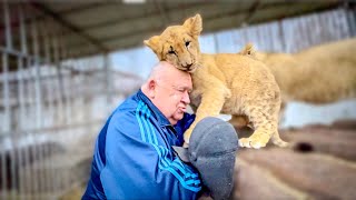 Нас встречает Мариупольский зоопарк, идём смотреть как ПЕРЕСТРАИВАЕТСЯ ПАРК!