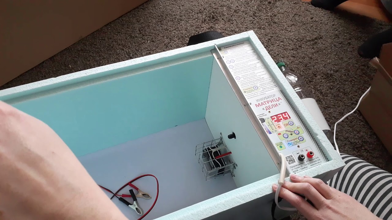 Матрица дели 72 Матрица дели 72