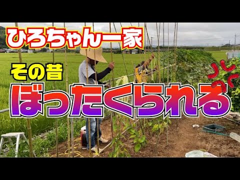 ひろちゃんからのお願い - YouTube