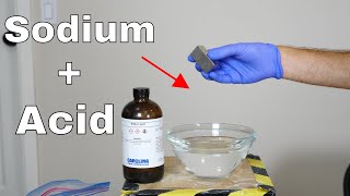 Don't Drop Sodium Metal in Sulfuric Acid!