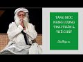 Tng mc nng lng tinh thn v th cht  thn b n   sadhguru ting vit