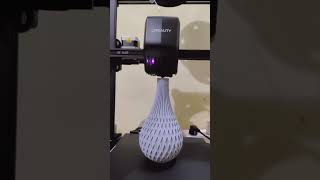 Amazing 3D Printing Process | Satisfying Time-Lapse Print | Ender 3 V3 SE