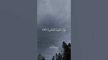 وَيُطْعِمُونَ الطَّعَامَ عَلَىٰ حُبِّهِ مِسْكِينًا وَيَتِيمًا وَأَسِيرًا || سورة الانسان || علي جابر