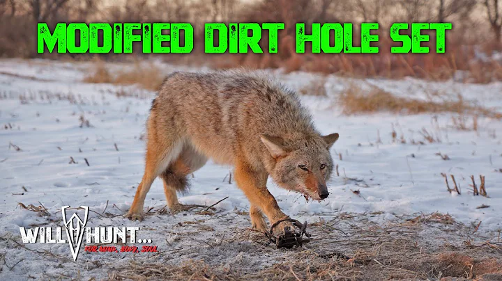 Modified Dirt Hole (Step-Down) Set for COYOTES