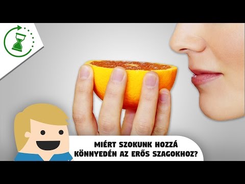 Videó: Hamis seb létrehozása: 14 lépés (képekkel)