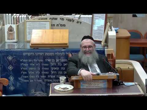 הרב יהושע ויזגן  • מסכת חולין דף כט עמוד א'